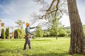 Best Hazardous Tree Removal  in Byram, CT